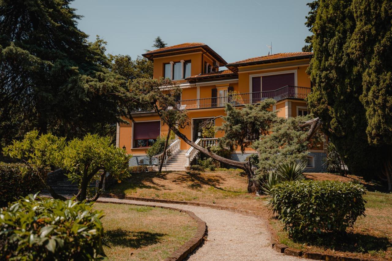 Mimosa Au - Estella Italia *